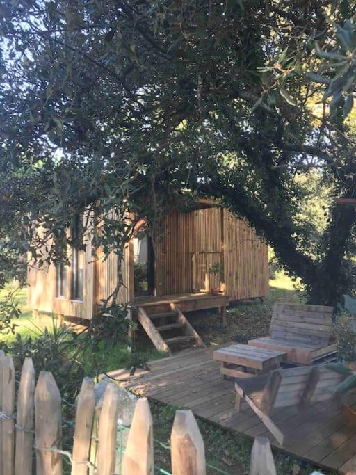 Ma Cabane Sous Les Arbres ซูลัก-โซร์-แมร์ ภายนอก รูปภาพ